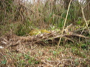 dsc00492